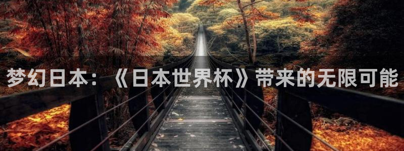 世界杯预选赛规则:梦幻日本:《日本世界杯》带来的无限可能
