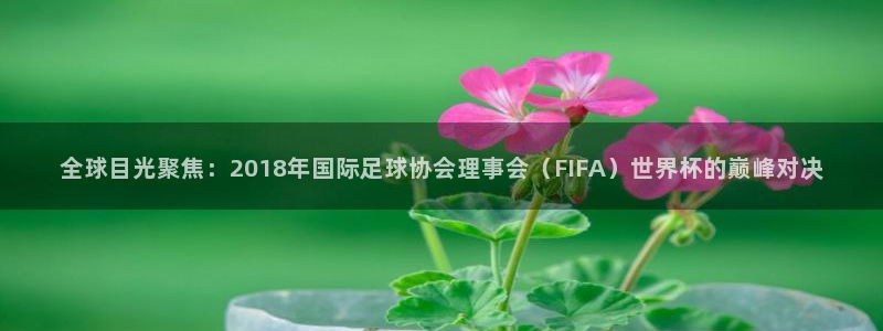 世界杯球队:全球目光聚焦:2018年国际足球协会理事会(FIFA)世界杯的巅峰对决