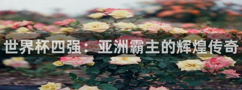 世界杯直播免费观看:世界杯四强:亚洲霸主的辉煌传奇