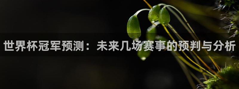 世界杯官网入口:世界杯冠军预测:未来几场赛事的预判与分析