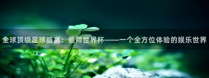 西超杯直播:全球顶级足球盛宴:最帅世界杯——一个全方位体验的娱乐世界